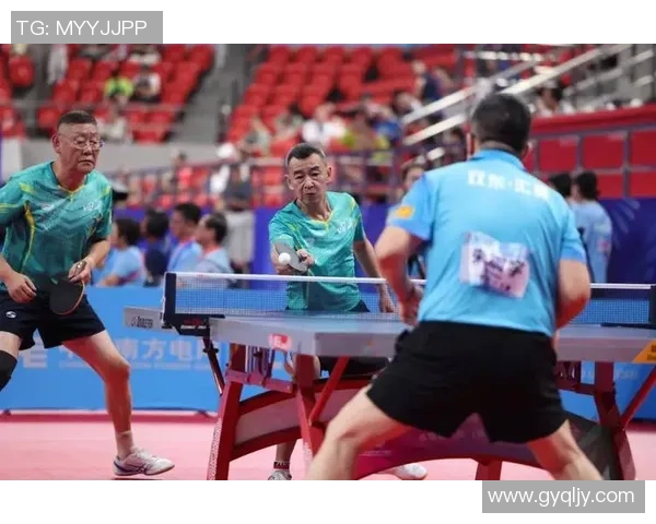 成都乒乓球队的节奏揭秘与深度分析：乒乓球运动的魅力与技艺探讨